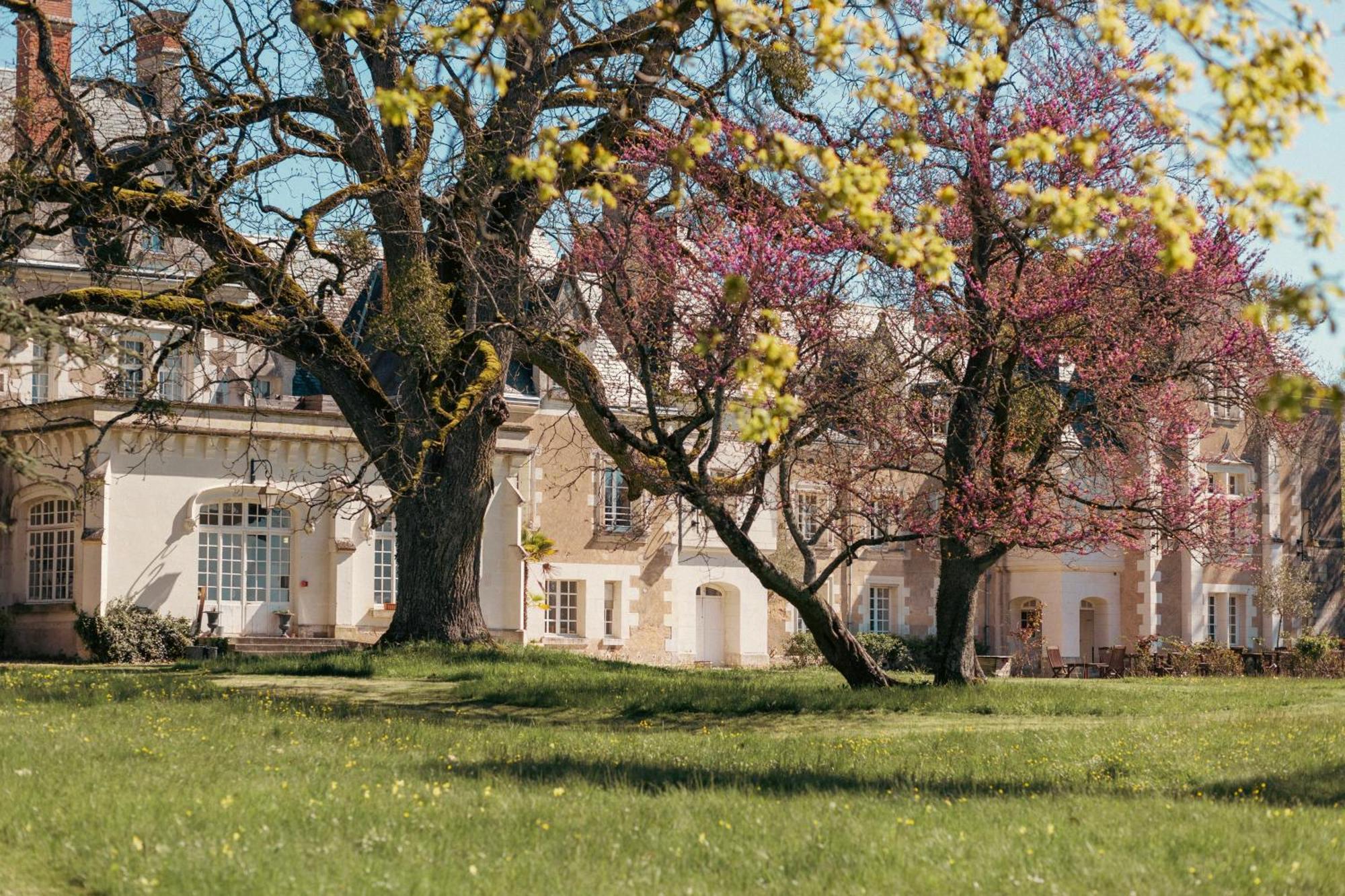Chateau De Razay Céré-la-Ronde Exteriör bild